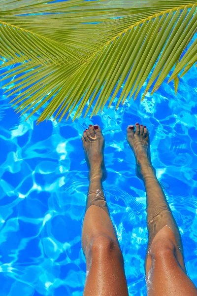 Piernas de las mujeres salpicando en la piscina tropical — Foto de Stock