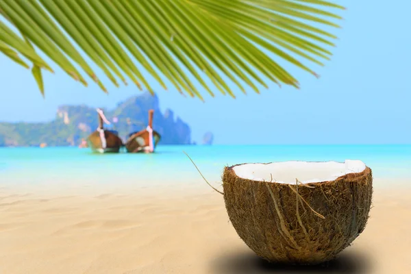 Coconut on the beach in Phi Phi island — Stock Photo, Image