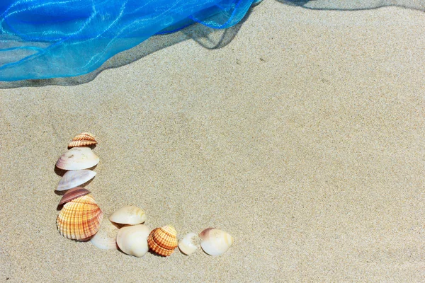 Conchas do mar na areia — Fotografia de Stock