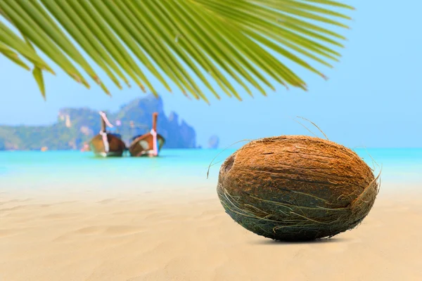 在皮皮岛海滩上椰子 — 图库照片