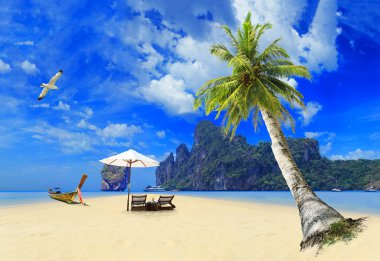 Hindistan cevizi ağacı ile tropikal plaj