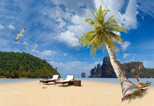 Tropical beach of Phi Phi island — Stock Photo, Image
