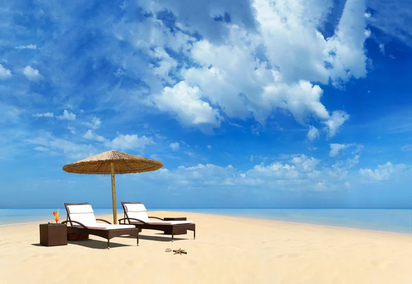 Tropical beach with coconut tree — Stock Photo, Image