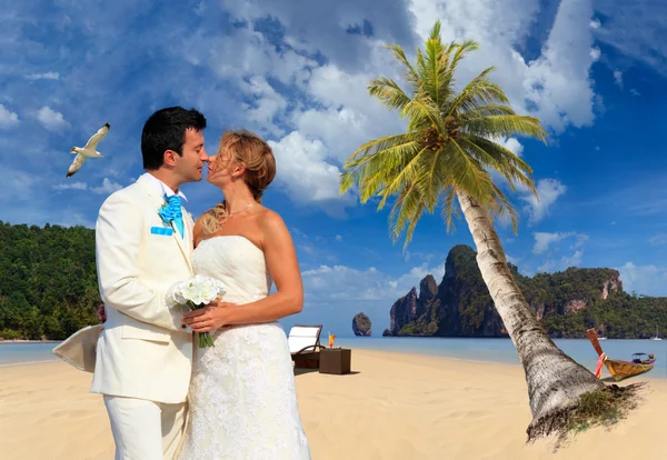 고 피 피 섬 해변에서 결혼된 한 한 쌍 — 스톡 사진