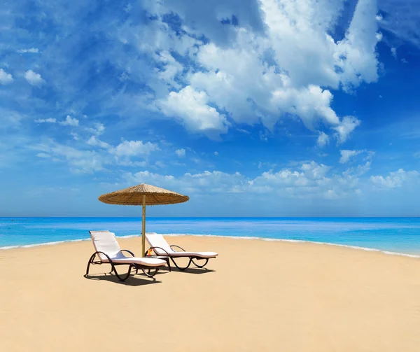 Tropical beach with coconut tree — Stock Photo, Image