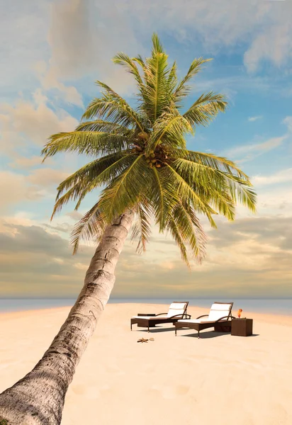 Tropical beach with coconut tree — Stock Photo, Image