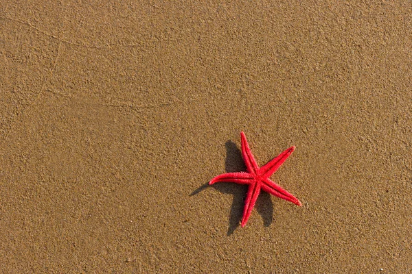 Vörös csillag a strandon — Stock Fotó