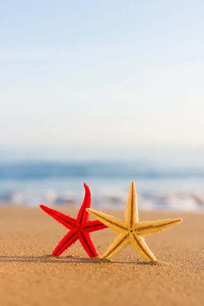 Estrella de mar en la playa al amanecer — Foto de Stock