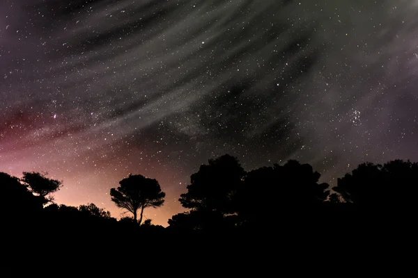 De Melkweg met silhouet van mediterrane bomen — Stockfoto