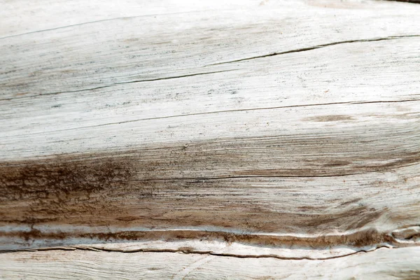 Wood Texture Background — Stock Photo, Image