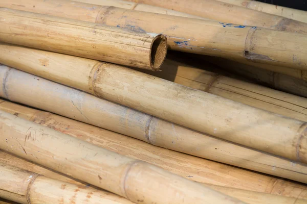 Pilha de bambu — Fotografia de Stock