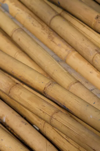 Stack of bamboo — Stock Photo, Image