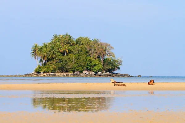 Phuket nai yang beach — Stock Photo, Image