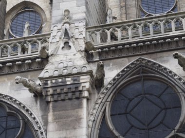 Notre Dame de Paris Katedrali