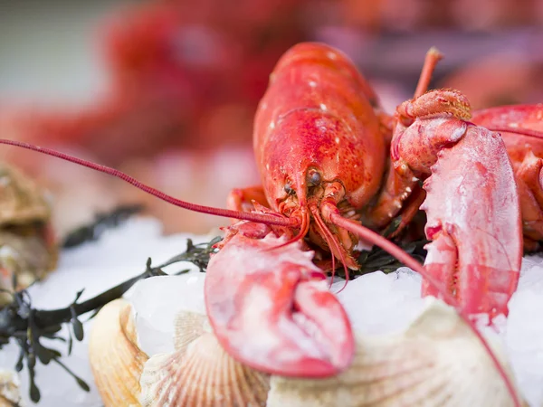 Fresh seafood in fish market — Stock Photo, Image