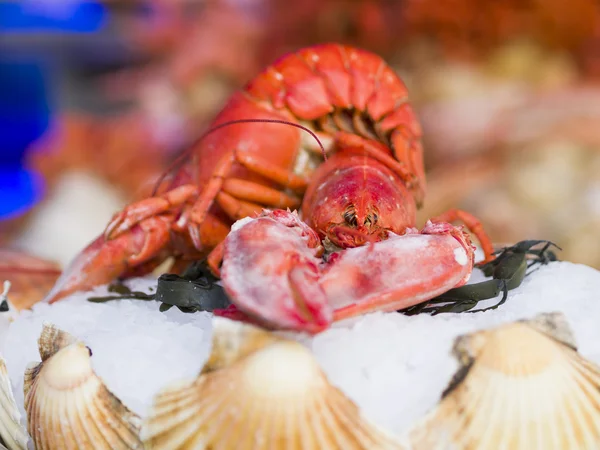 Свежие морепродукты на рынке рыбы — стоковое фото