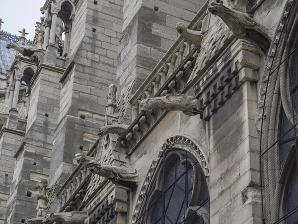 Notre Dame de Paris Cathedral — Stock Photo, Image