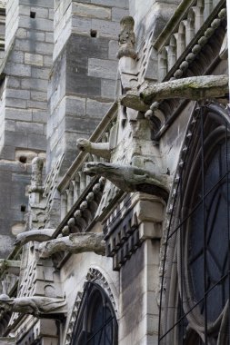 Notre Dame de Paris Katedrali