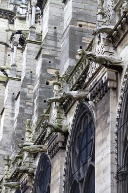Notre Dame de Paris Katedrali