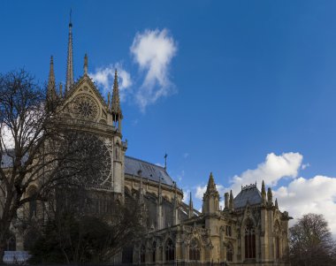 Notre Dame de Paris Katedrali