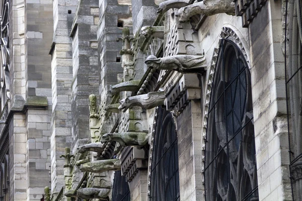 Notre Dame de Paris Cathedral — Stock Photo, Image