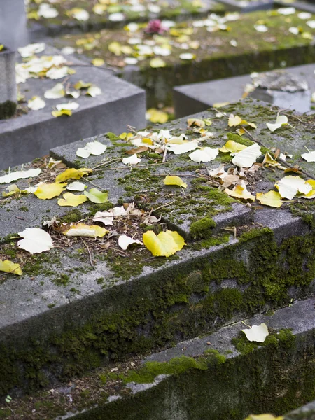 Vieja lápida sin nombre en el cementerio —  Fotos de Stock