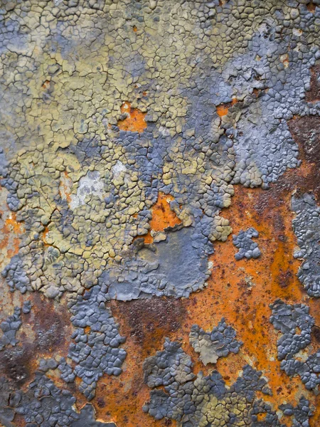 Rusty metal panel