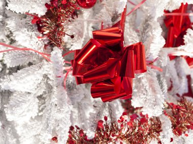 tatlı Noel Ball ile çam dalı