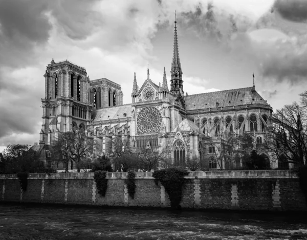 Notre Dame de Paris kathedraal — Stockfoto