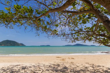 tropikal plaj manzara