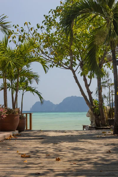Maya bay Phi Phi Leh island, Thailand — Stock Photo, Image