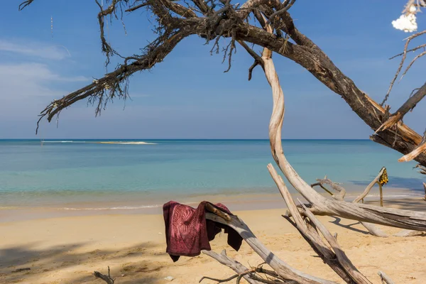 Tropisk strand landskap — Stockfoto