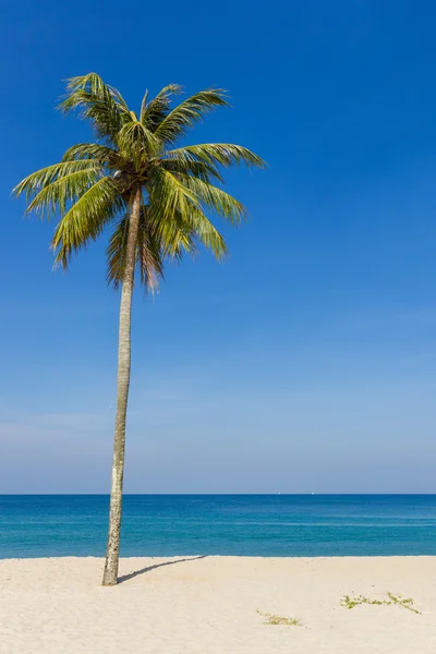Paesaggio tropicale spiaggia — Foto Stock