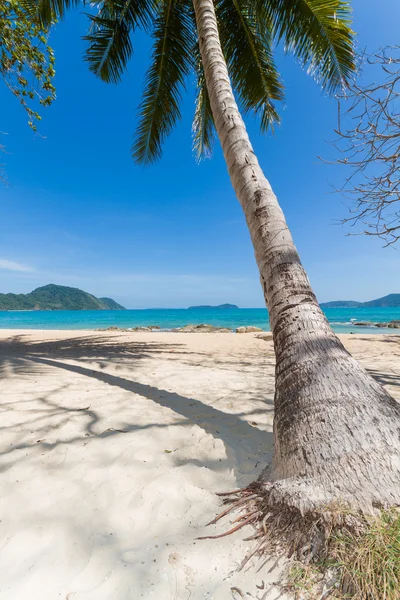 Tropisch strand landschap — Stockfoto