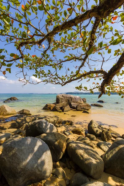 NAI YANG beach in Phuket island — стоковое фото