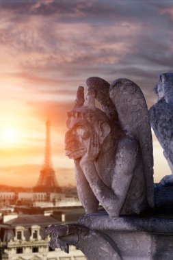 Chimera (canavar) Katedrali notre Dame de paris