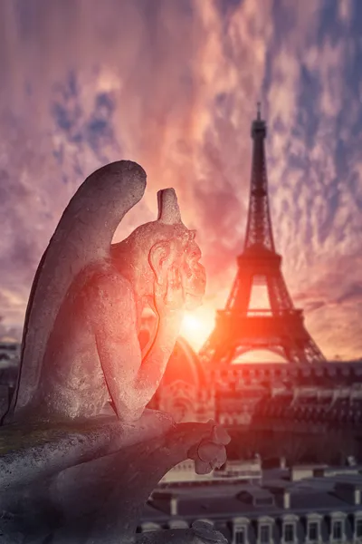Химера (гаргулья) собора Парижской Богоматери — стоковое фото