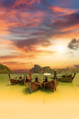 Paradise beach koh phi Phi