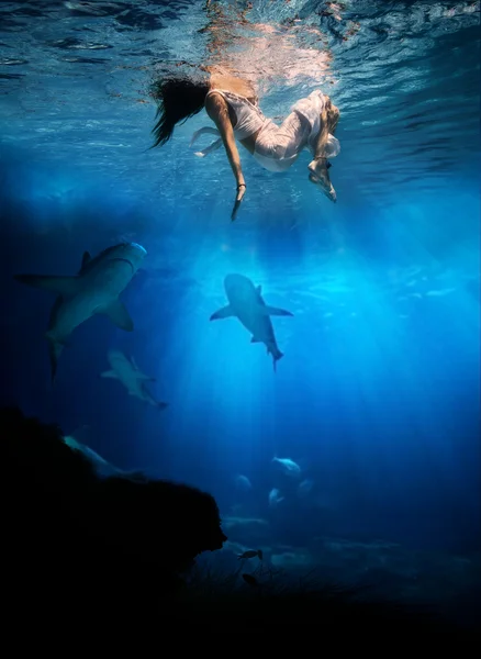 Haie nähern sich einem ahnungslosen Schwimmer — Stockfoto