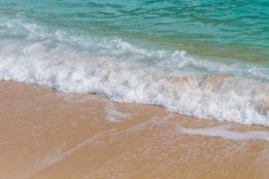 Deniz dalgası kumsalda