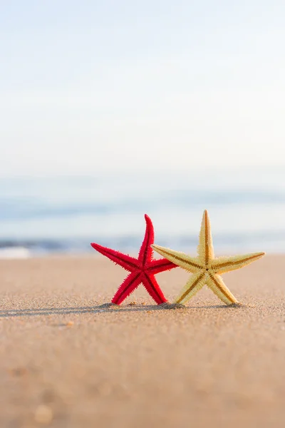 Estrella de mar en la playa al amanecer — Foto de Stock