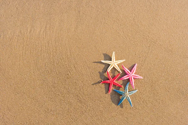 Морские звезды на пляже на рассвете — стоковое фото