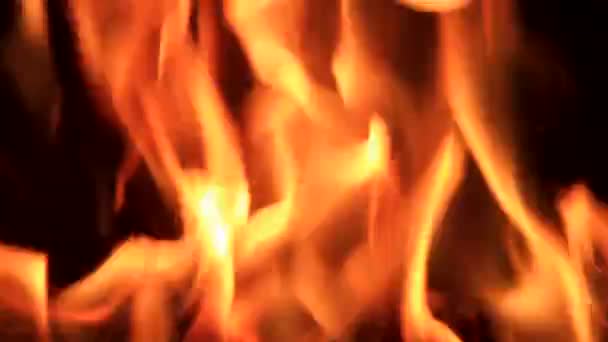 Oheň — Stock video