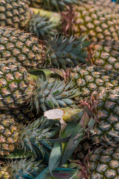 Pineapple pile ready for sale — Stock Photo, Image