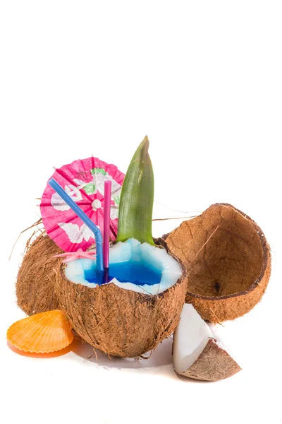 신선한 코코넛 칵테일 — 스톡 사진