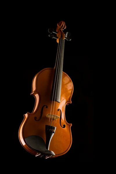 小提琴和孤立在黑色的蝴蝶结 — 图库照片