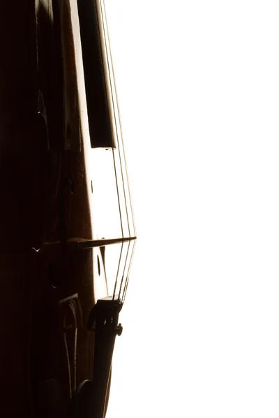 バイオリンのシルエット — ストック写真