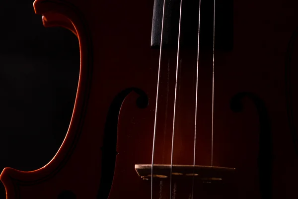 Silhouette di un violino — Foto Stock