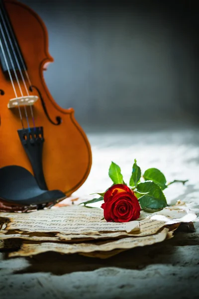 Violin sheet music and rose