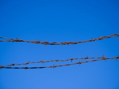 Barb tel çit ve mavi gökyüzü